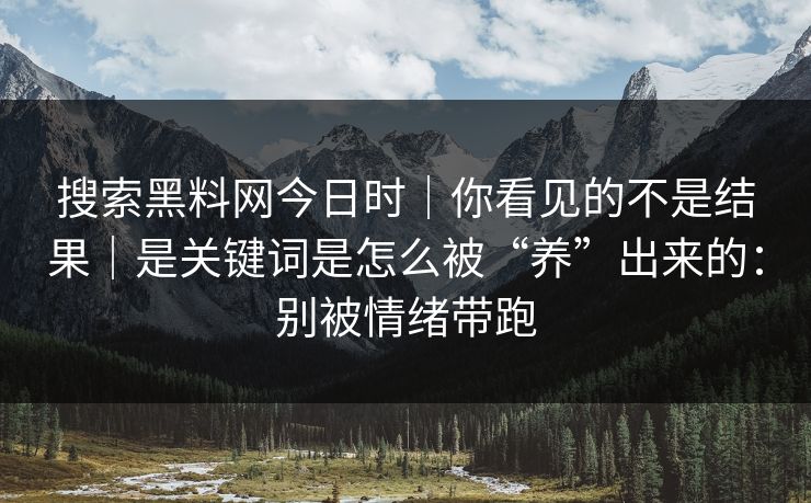 搜索黑料网今日时|你看见的不是结果|是关键词是怎么被“养”出来的:别被情绪带跑