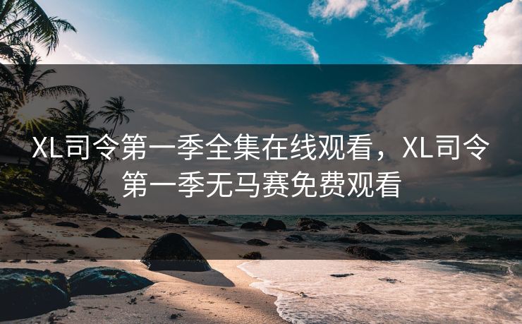 XL司令第一季全集在线观看，XL司令第一季无马赛免费观看