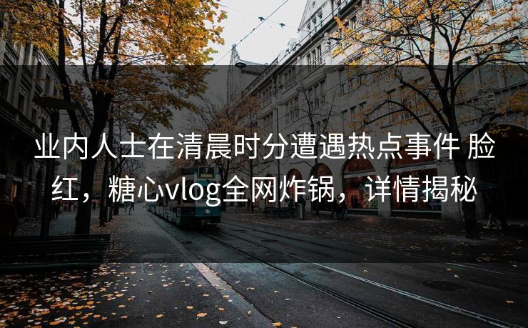 业内人士在清晨时分遭遇热点事件 脸红，糖心vlog全网炸锅，详情揭秘