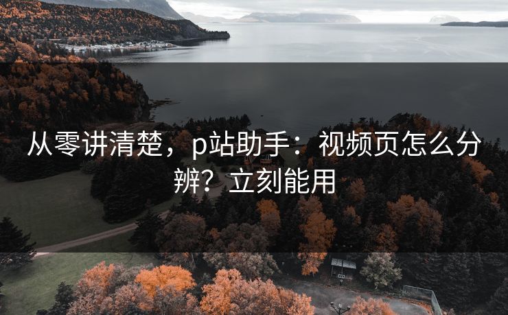 从零讲清楚,p站助手:视频页怎么分辨?立刻能用 从零讲清楚,p站助手:视频页怎么分辨?立刻能用