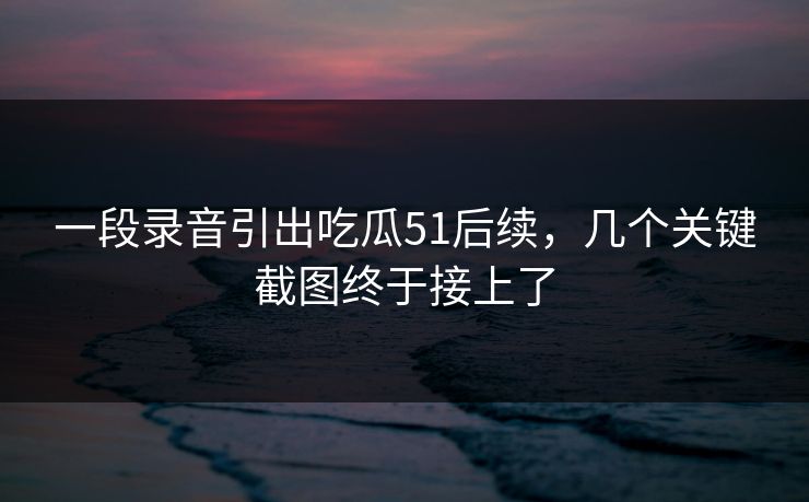 一段录音引出吃瓜51后续,几个关键截图终于接上了